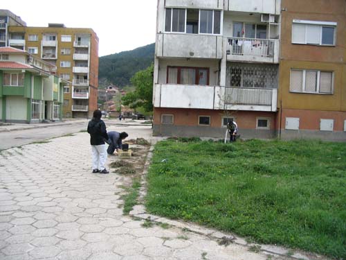 photos