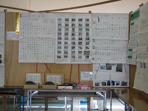 photos
