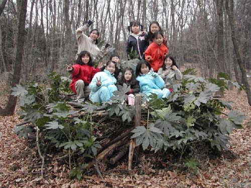 photos